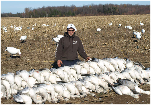 Chasse aux oiseaux migrateurs